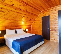 Номер люкс с 1 двуспальной кроватью (мансарда) в Тучково