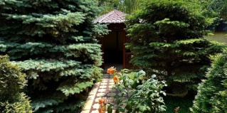 Махачкала: Коттедж Гостевой дом