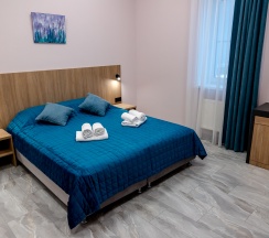 Двухместный стандарт + в Дубос