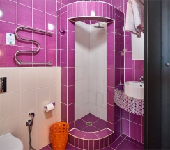 3-х местный без балкона в Диса