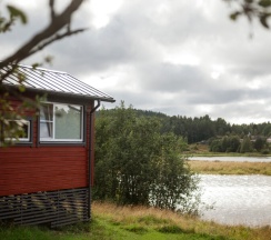 Ягодный домик с террасой в Ягодная Деревня