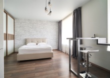 Studio Business в Radius Central House by Огни Rent