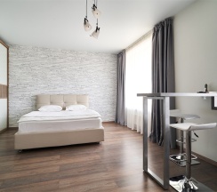Studio Business в Radius Central House by Огни Rent