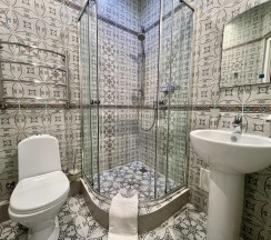 Номер комфорт с 1 двуспальной кроватью в Олимпия