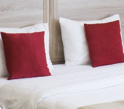 Премиум комната в Кауфман хаус