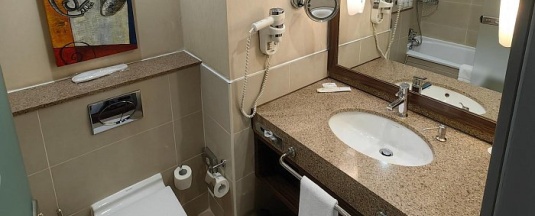 Двухместный номер Superior Standard 2 отдельные кровати в Holiday Inn Almaty