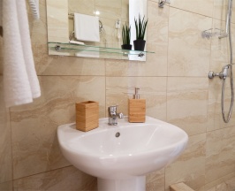 Одноместный номер в Аист