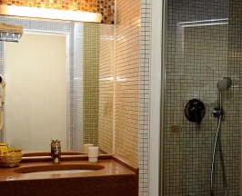 Номер стандарт с 1 односпальной кроватью в Hotel Kirov