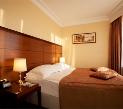 Стандарт Плюс в Золотое кольцо