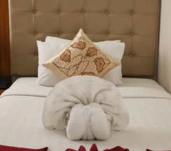 Двухместный номер Standard 2 отдельные кровати в Hotel Dhaka Garden Inn
