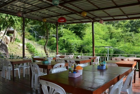 Пхи-Пхи-Дон: Гостевой дом Phi Phi Jungle Hill Bungalow