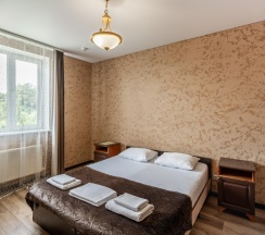 Номер стандарт с 1 двуспальной кроватью в Изумруд