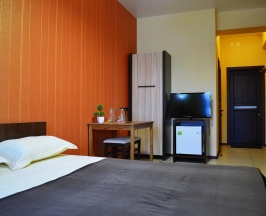 Двухместный номер с 1 кроватью в Грин