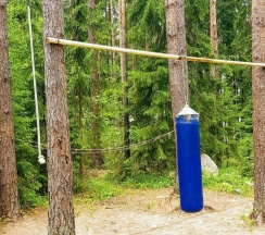 Коттедж стандарт в Black fox