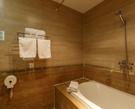 Двухместные апартаменты двуспальная кровать в Hotel Almaty MV Residence