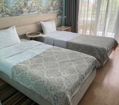 Двухместный номер Стандартный с балконом 2 отдельные кровати в Лаванда