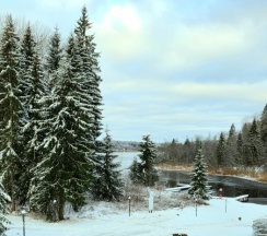 Гостевой домик в Дивная бухта Селигер
