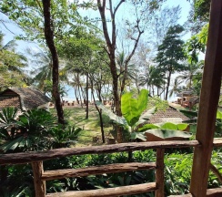 Одноместный номер Standard с красивым видом из окна в Blue Sea Resort