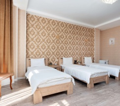 Многоместный в Дизак