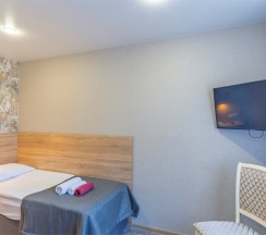 Стандарт одноместный в Ессентуки