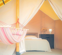 Глэмпинг в Ковчег