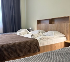 Семейный номер в Невский