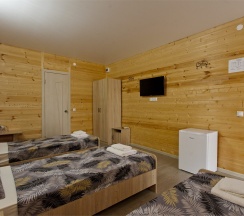 Стандарт 3х местный в Белая Деревня