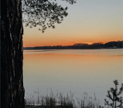 Дом №1 Березка в Vetvi