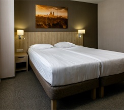 SUPERIOR двухместный (6,7,8 корпус) в Амакс Курорт Новая Истра