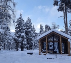 Шале в Sherwood Arkhyz chalet