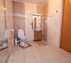 Джуниор сюит №10/4 в Золотой Лев