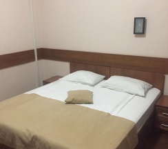 Номер стандарт с 1 двуспальной кроватью в Камелия-В
