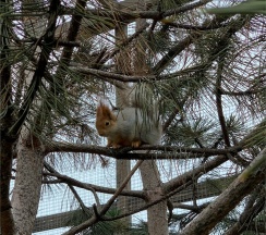 Семейный в Графский парк