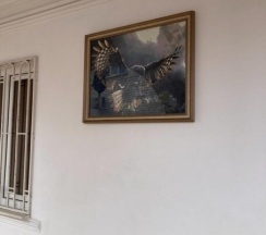 Апартаменты первый высокий этаж в Filin