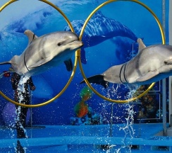 Семейный с балконом с прямым видом на море в Aqualife