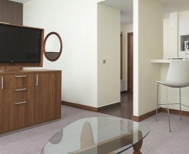 Номер студия в Radisson Residences Zavidovo