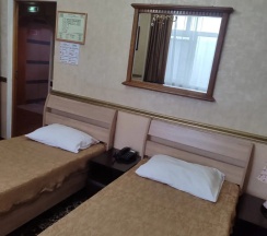Двухместный номер Бюджетный 2 отдельные кровати в Central