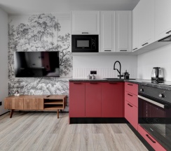 1-комнатные апартаменты студия Рэд в Dream Apartmens