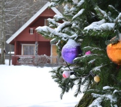 коттедж 7х9 : №13,15,16,17,18 в Green village