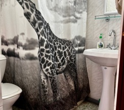 Номер Economy в У Галины