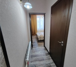 Стандартный двухместный люкс в Лесная