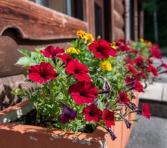 Дом «Лесная сказка» в Лесная сказка