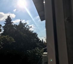 Апартаменты с видом на сад в Joy apartments