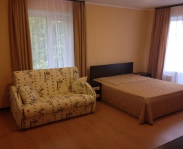 Двухместный номер Standard в Энергетик