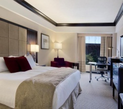 Двухместный номер Standard двуспальная кровать в Hotel Bonaventure Montreal