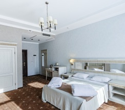 Стандартный номер (DBL) в Троя