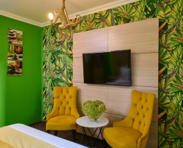 Двухместный номер Делюкс в Сова