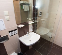Стандартный одноместный номер в Brown hotel