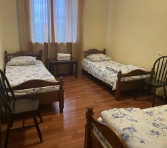 Трёхместный номер Эконом в Русь