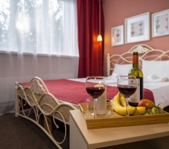 Стандарт+ в Melton Hotel